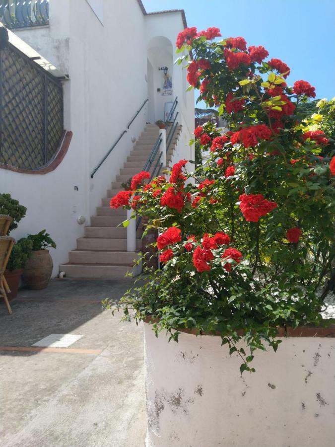 Вілла La Marocella Капрі Екстер'єр фото